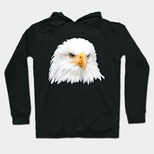 Bald eagle Hoodie